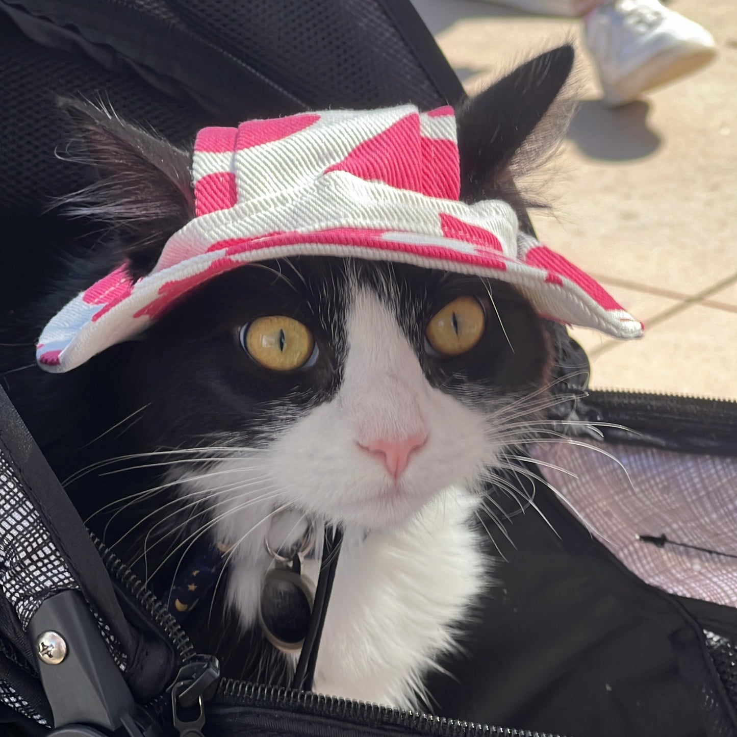 Pet Adjustable Outdoor Sun Hat with Ear Holes for Cats and Dogs - Lil Wild Pets