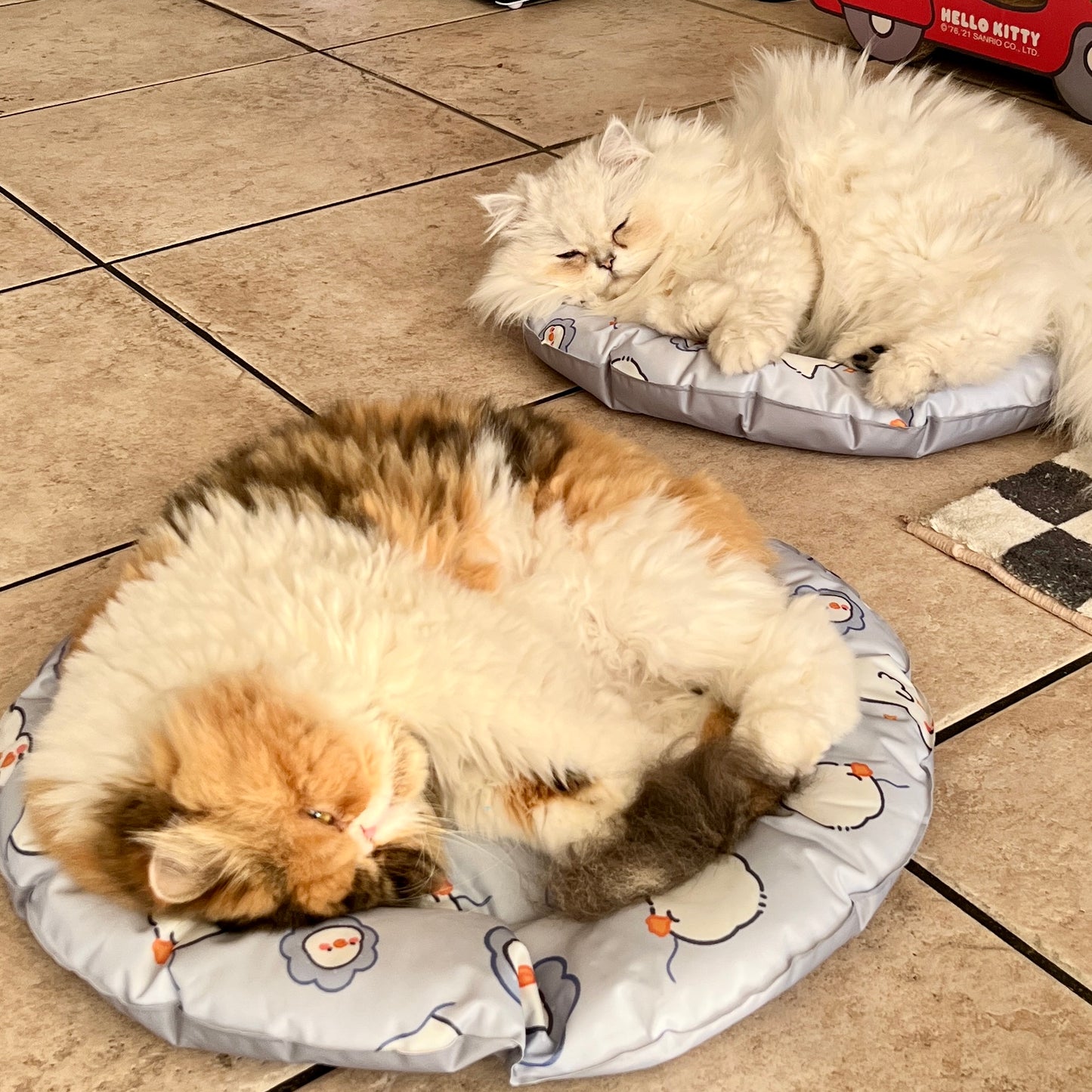 Pet Summer Cooling Mat Sleeping Pad for Cats and Dogs - Round - Lil Wild Pets