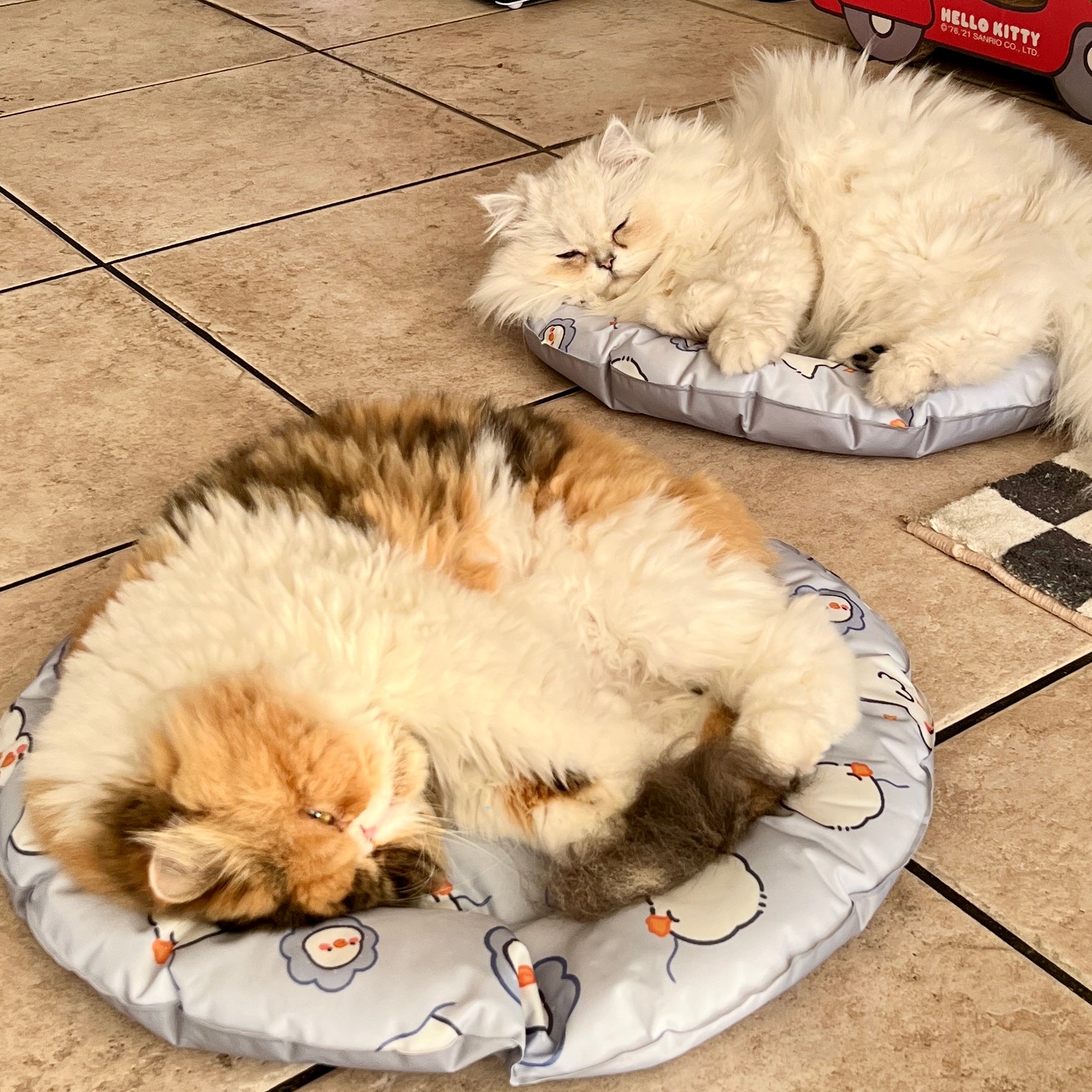 Pet Summer Cooling Mat Sleeping Pad for Cats and Dogs - Round - Lil Wild Pets