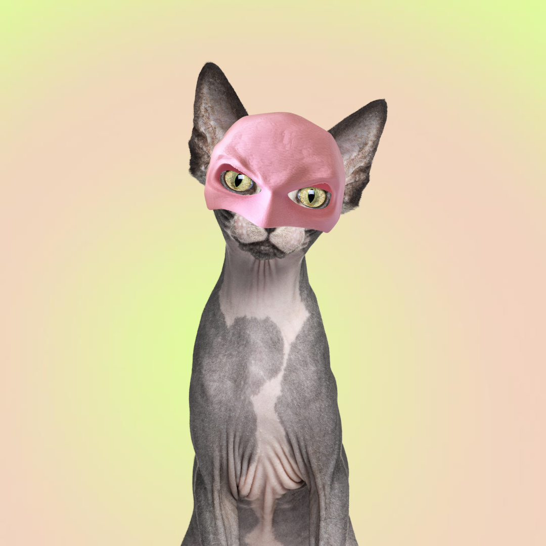 Lil Wild Pets Exclusive Batcat Hat for Cats and Dogs