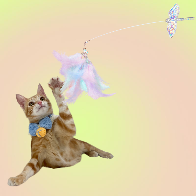 Retractable Feather Teaser Cat Toy,Interactive Cat Toy/Wand Cat