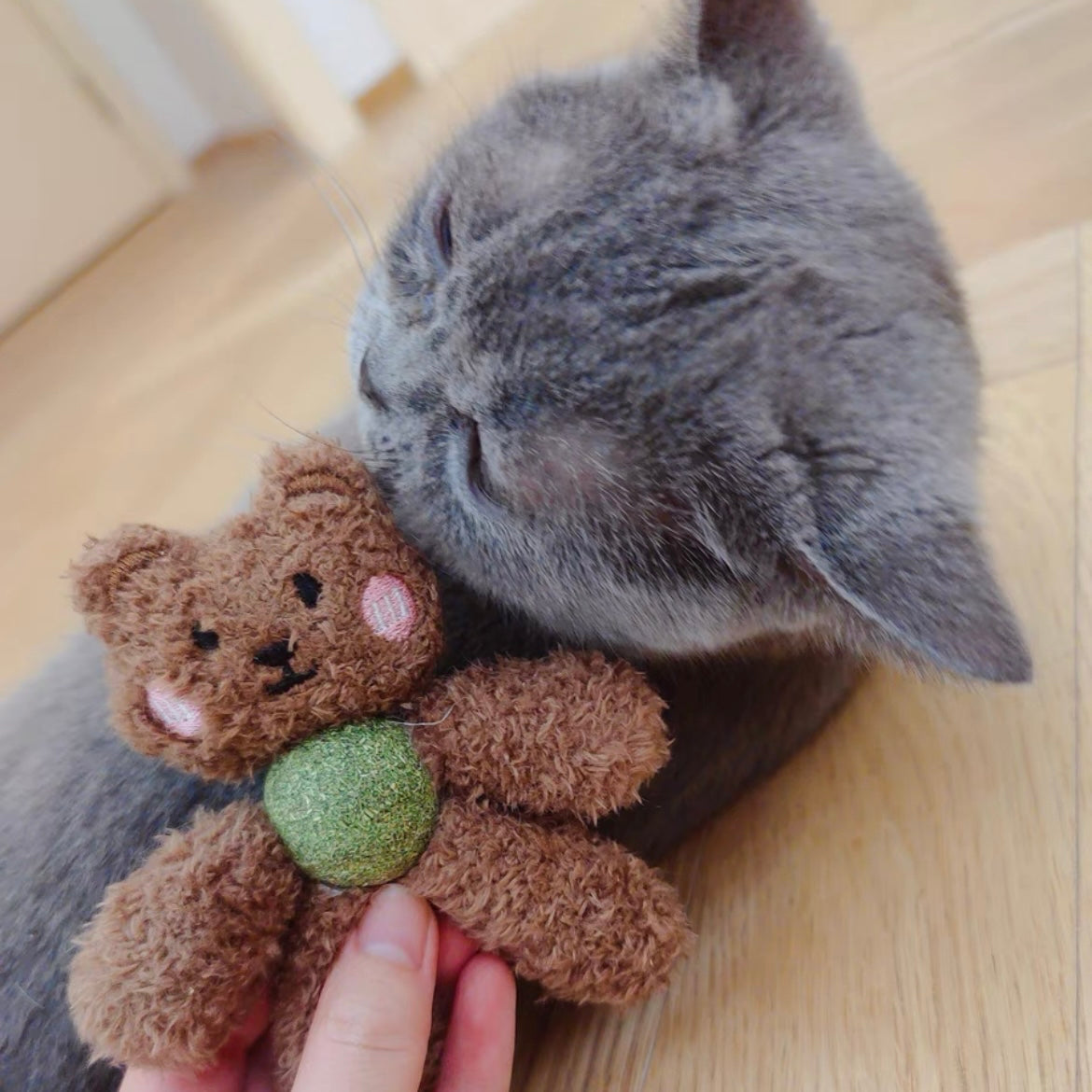 Lickable Catnip Ball Cuddle Plush Toy- Teddy Bear & Pink Bunny