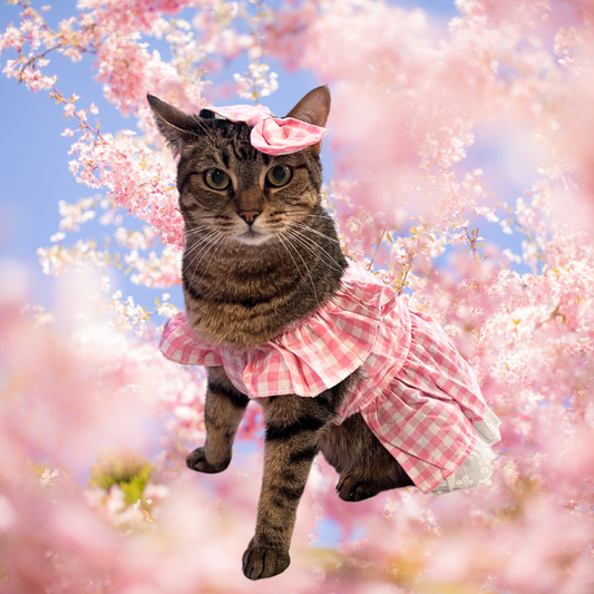 Pink Checkered Dress for Cats and Dogs with Pink Bow - Lil Wild Pets
