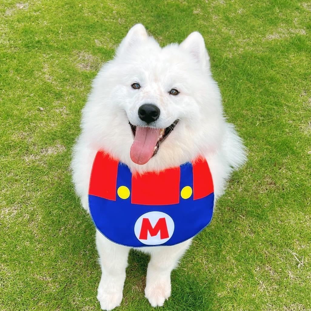 Super Mario Double-Sided Drool Bib Accessory for Big Dogs - Lil Wild Pets