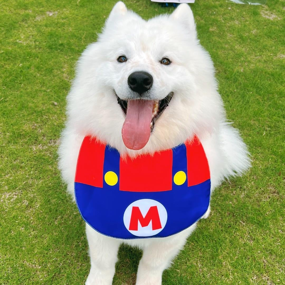 Super Mario Double-Sided Drool Bib Accessory for Big Dogs - Lil Wild Pets