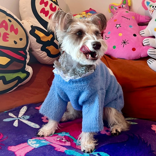 Fall Winter Blue Bunny Faux Mink Sweater with Lace for Dogs and Cats - Lil Wild Pets