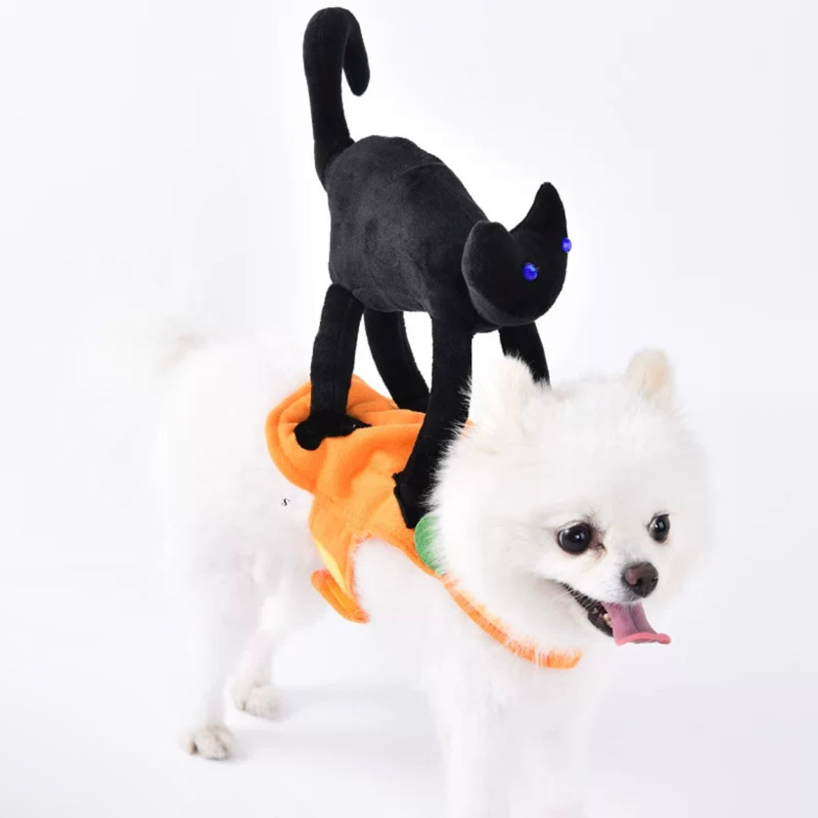 Halloween Cat Pumpkin Ride Pet Cosplay Costume for Cats and Dogs - Lil Wild Pets