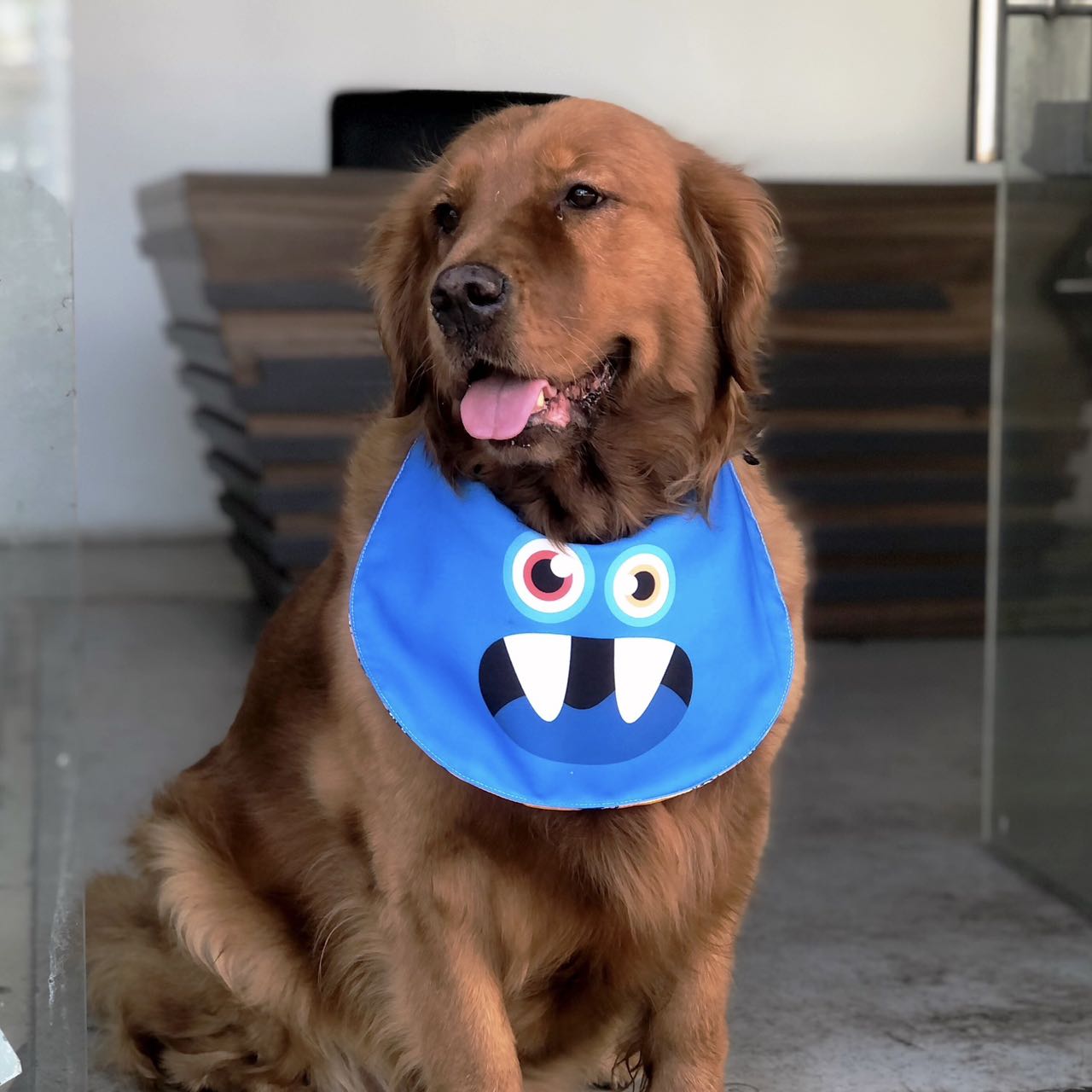 Blue Monster Double-Sided Drool Bib Accessory for Big Dogs - Lil Wild Pets