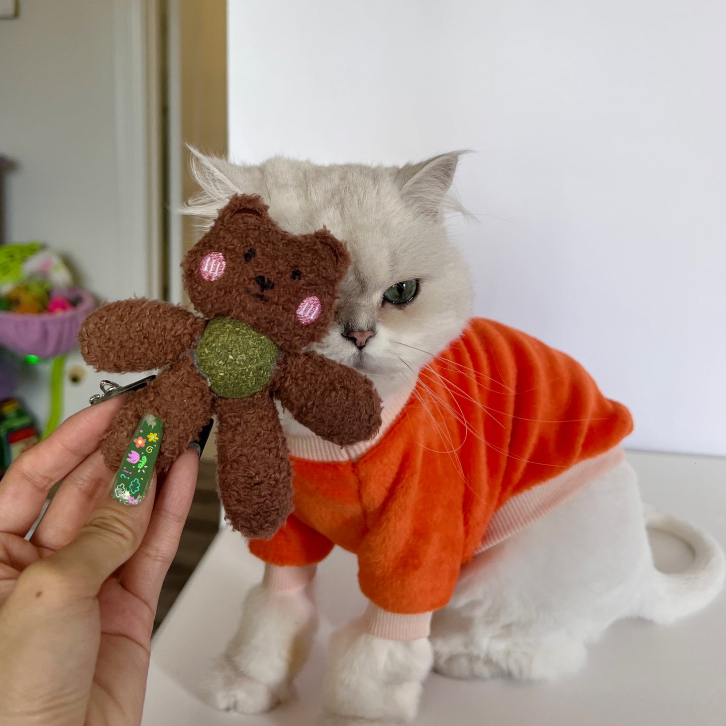 Lickable Catnip Ball Cuddle Plush Toy- Teddy Bear & Pink Bunny
