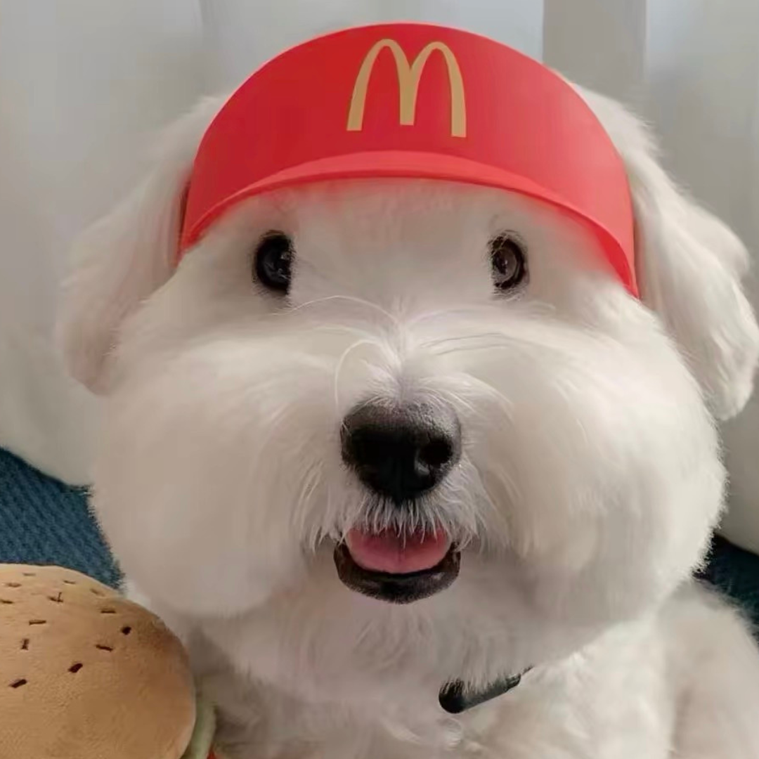 Halloween Fast Food Hat for Cats & Dogs