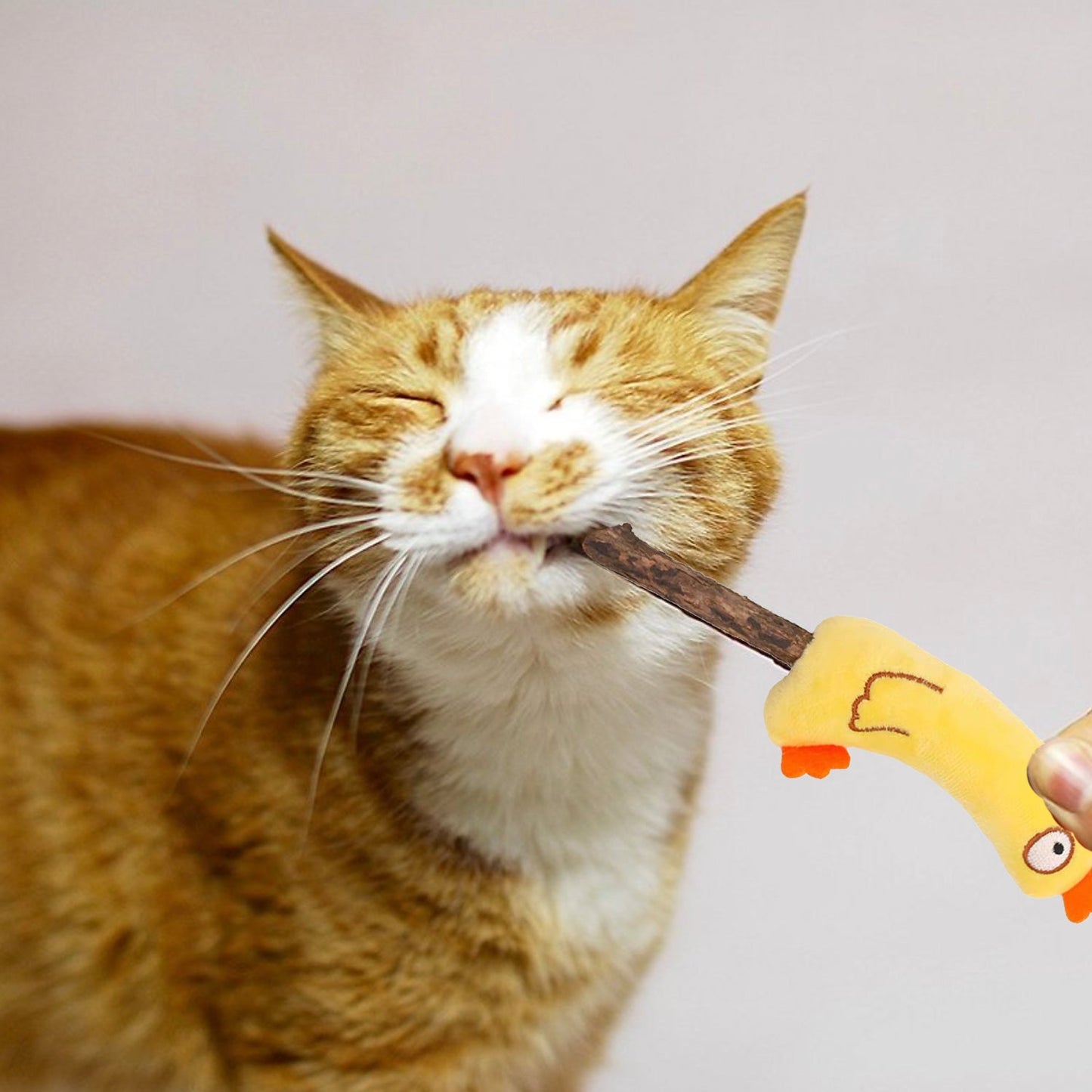 Dinosaur Silvervine Stick Cat Chew Toy - Lil Wild Pets