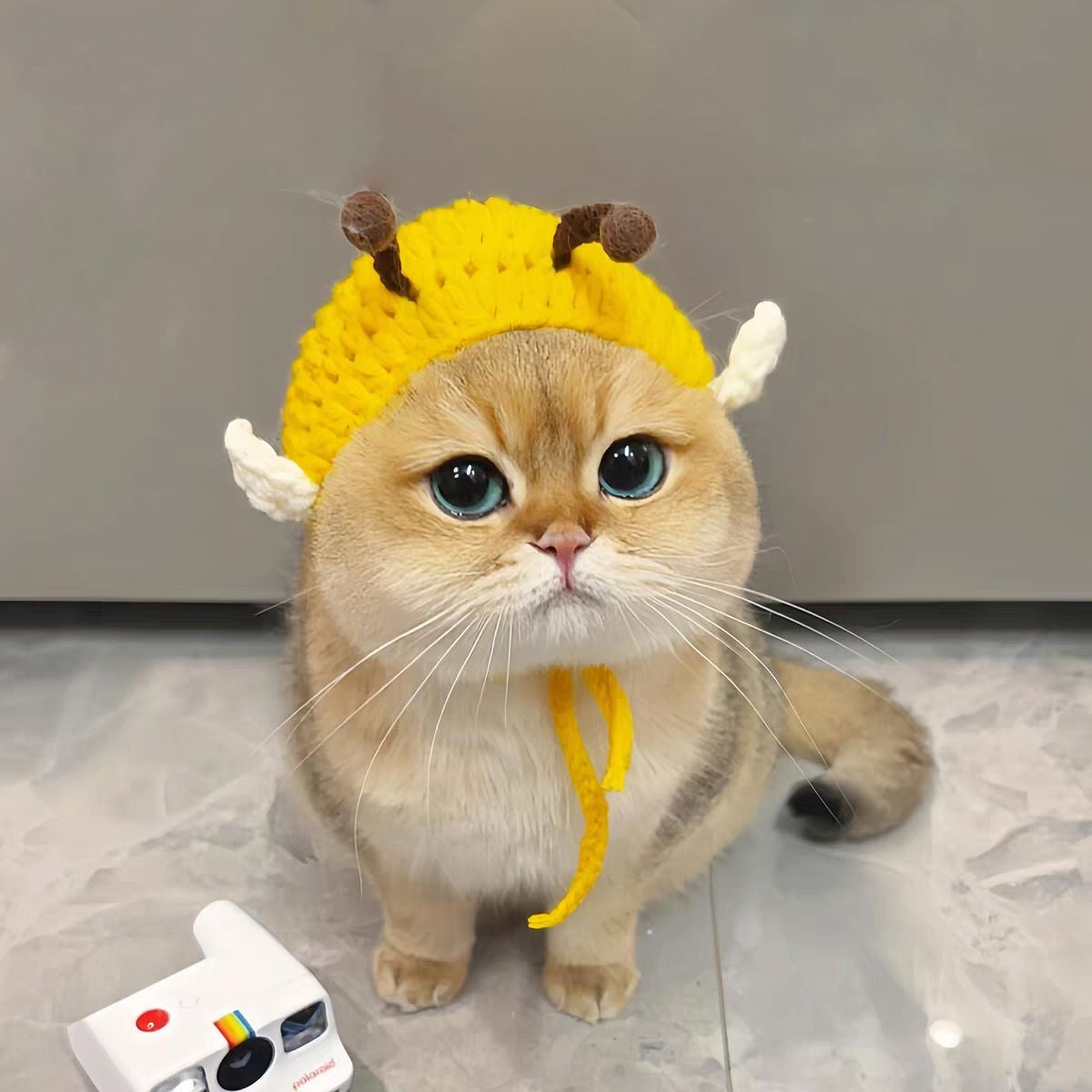 Pet Adjustable Knitting Hat with Ear Holes for Cats and Dogs - Bee