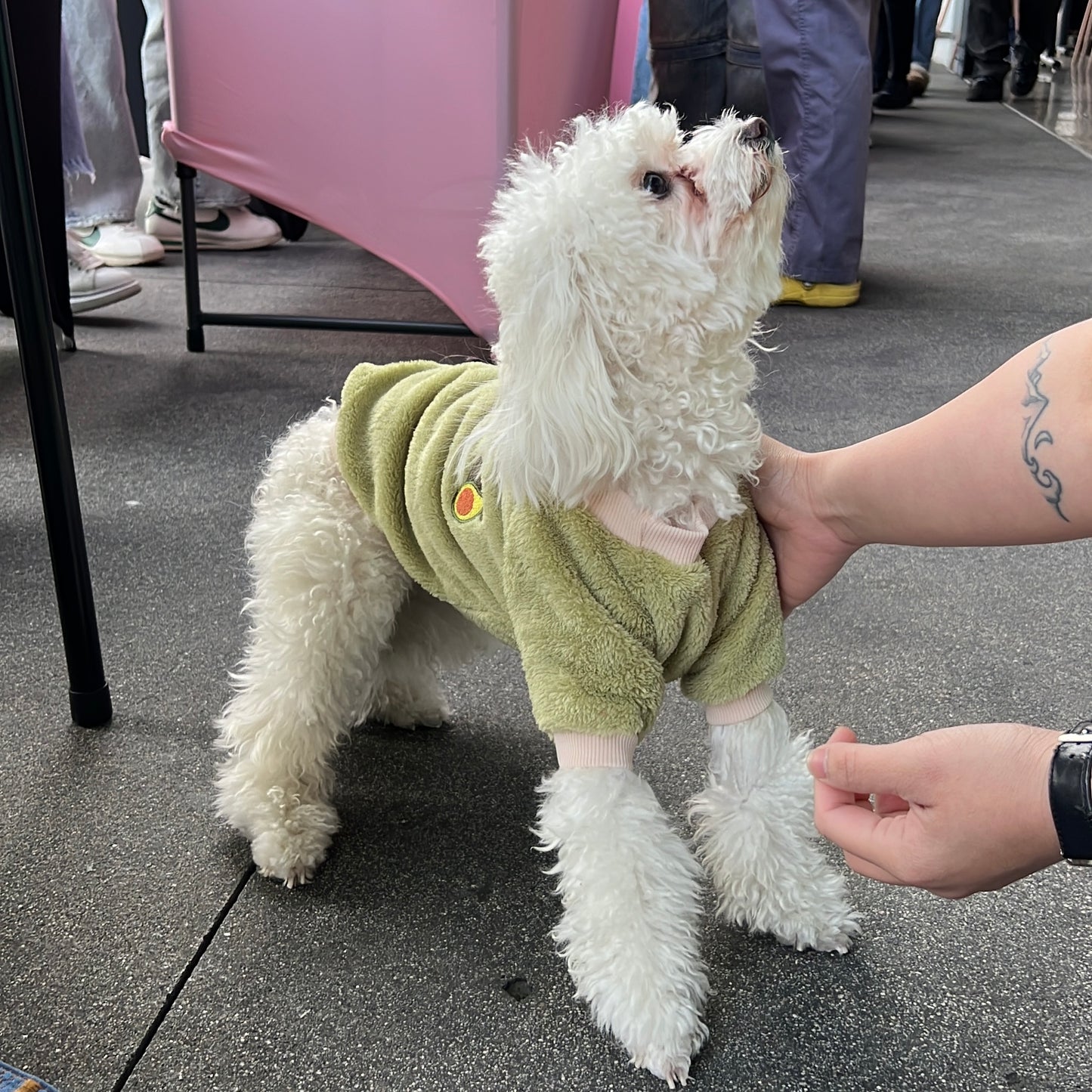 Cozy Teddy Green Avocado Onesie Sweater for Cats and Dogs - Lil Wild Pets