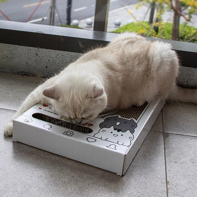 Instagram Cat Interactive Toy with Scratching Pad - Lil Wild Pets