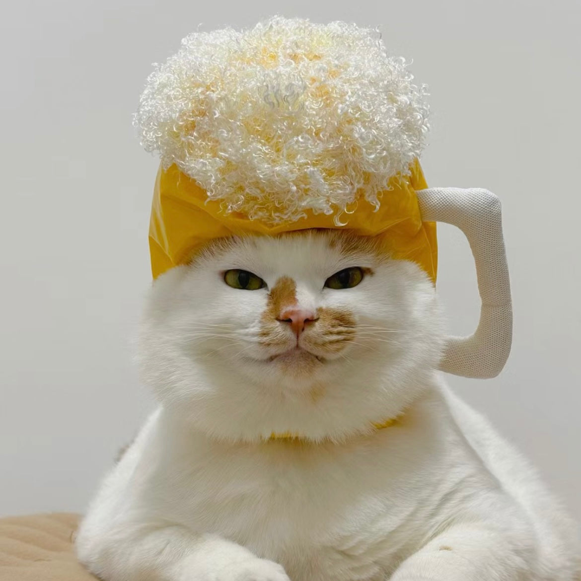 Pet Adjustable Hat for Cats and Dogs - Beer