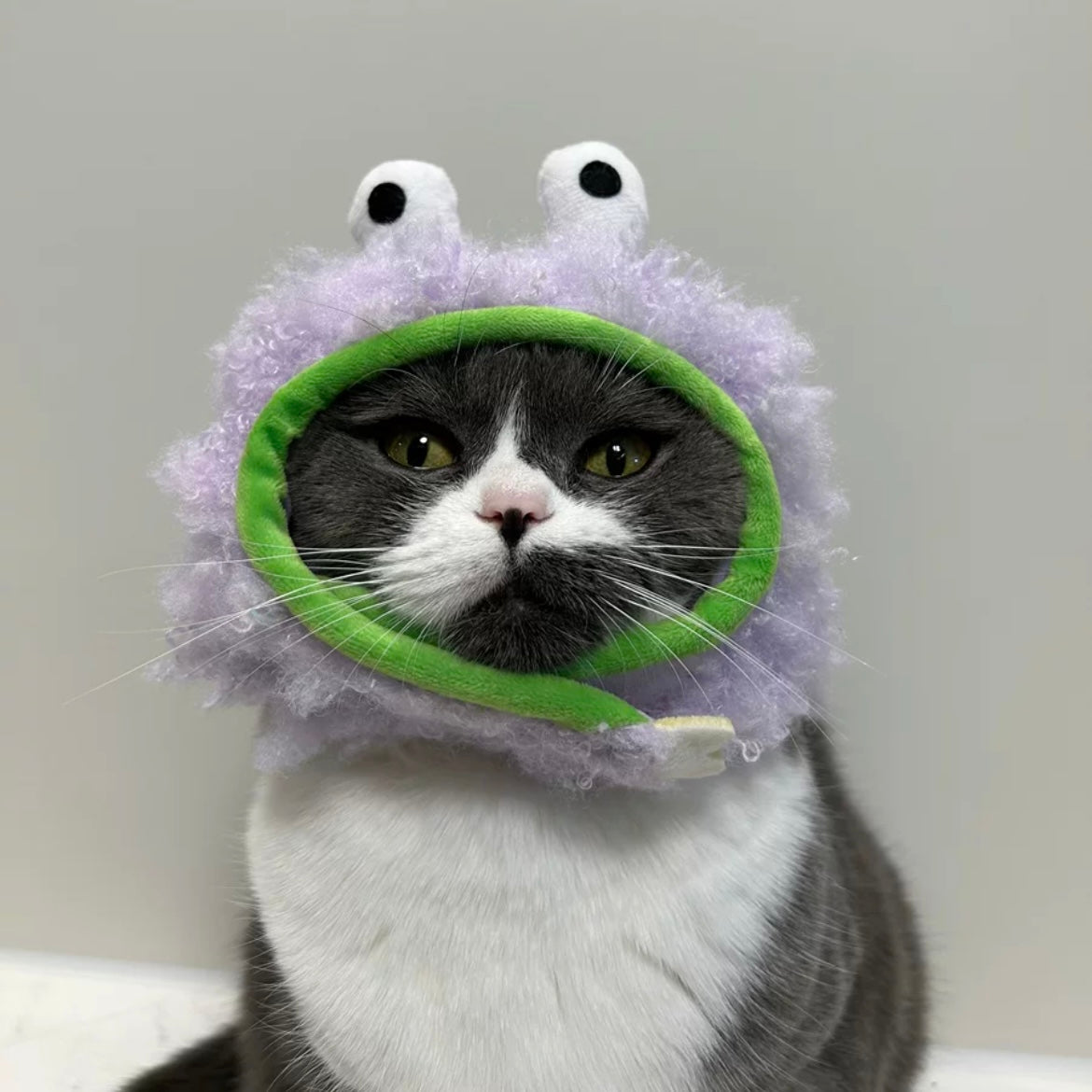 Pet Adjustable Hat with Ear Holes for Cats and Dogs - Monster - Lil Wild Pets