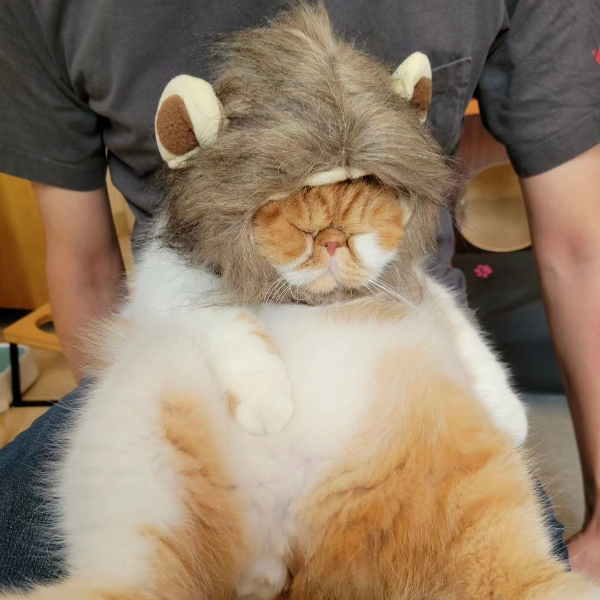 Pet Adjustable Hat for Cats and Dogs - Lion - Lil Wild Pets