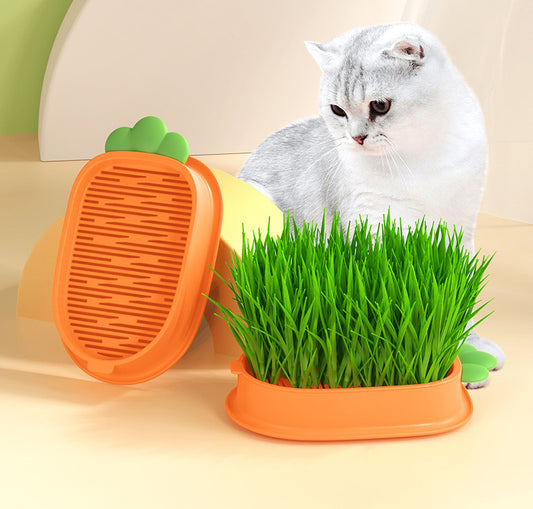 Organic Cat Grass Growing Kit with Carrot Soilless Hydroponic Planter - Lil Wild Pets