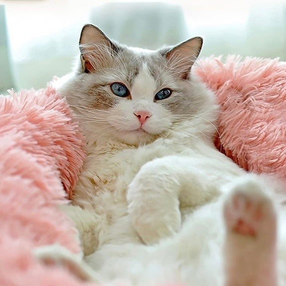 Pink Ultra-Soft Fur Donut Pet Bed for Cats and Dogs