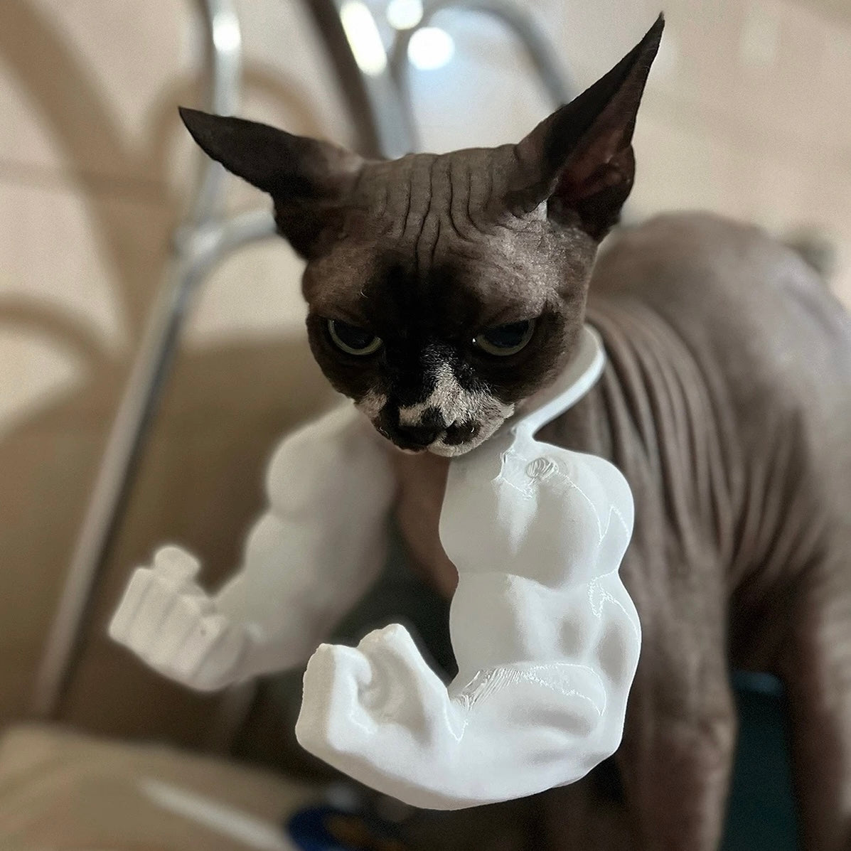 Lil Wild Pets Halloween Exclusive Green Hulk Cat Arms