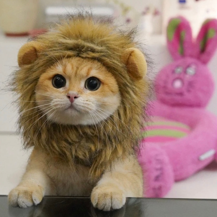 Pet Adjustable Hat for Cats and Dogs - Lion - Lil Wild Pets