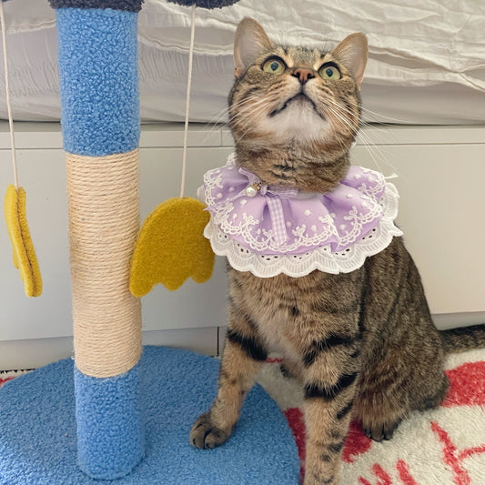 Purple Lace Ruffled Collar Accessory for Cats & Dogs - Lil Wild Pets
