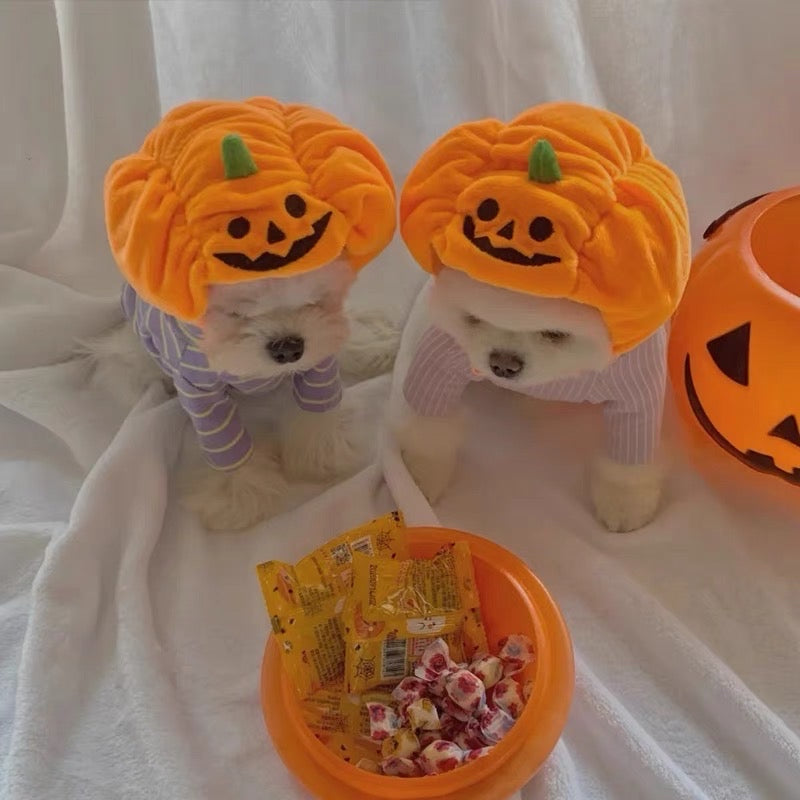 Pet Adjustable Hat for Cats and Dogs - Pumpkin