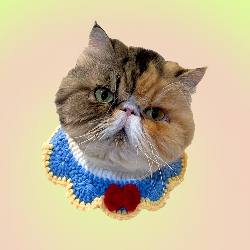 Blue Bow Knit Handmade Crochet Bib Accessory for Cats and Dogs - Lil Wild Pets