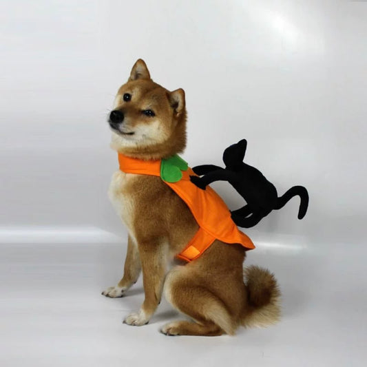 Halloween Cat Pumpkin Ride Pet Cosplay Costume for Cats and Dogs - Lil Wild Pets