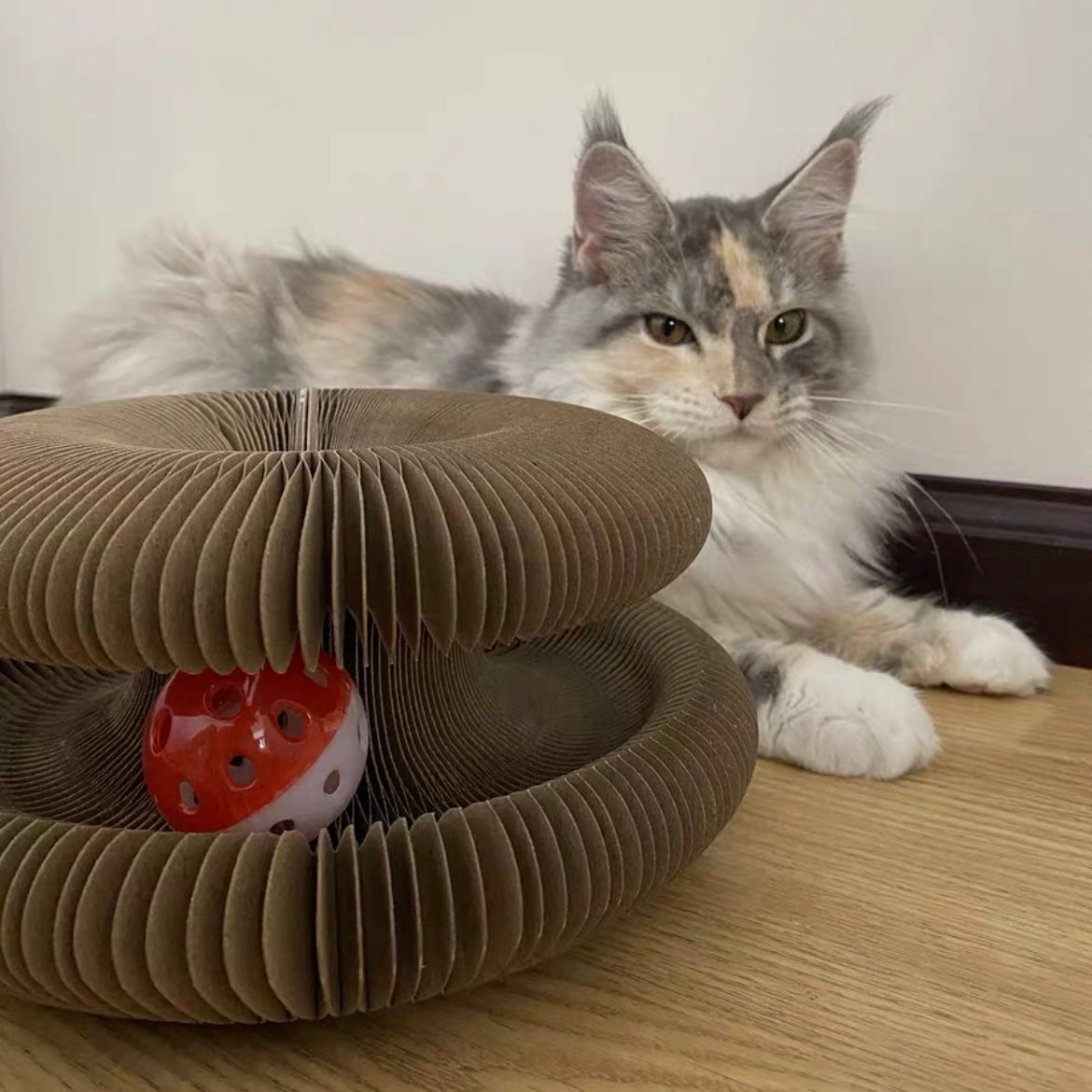 Cat Self-Play Foldable Mushroom Scratcher Tunnel Chaser Ball Toy - Lil Wild Pets