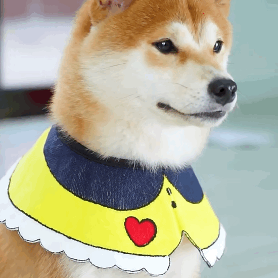 Yellow Heart Adjustable Accessory Collar for Cats and Dogs - Lil Wild Pets