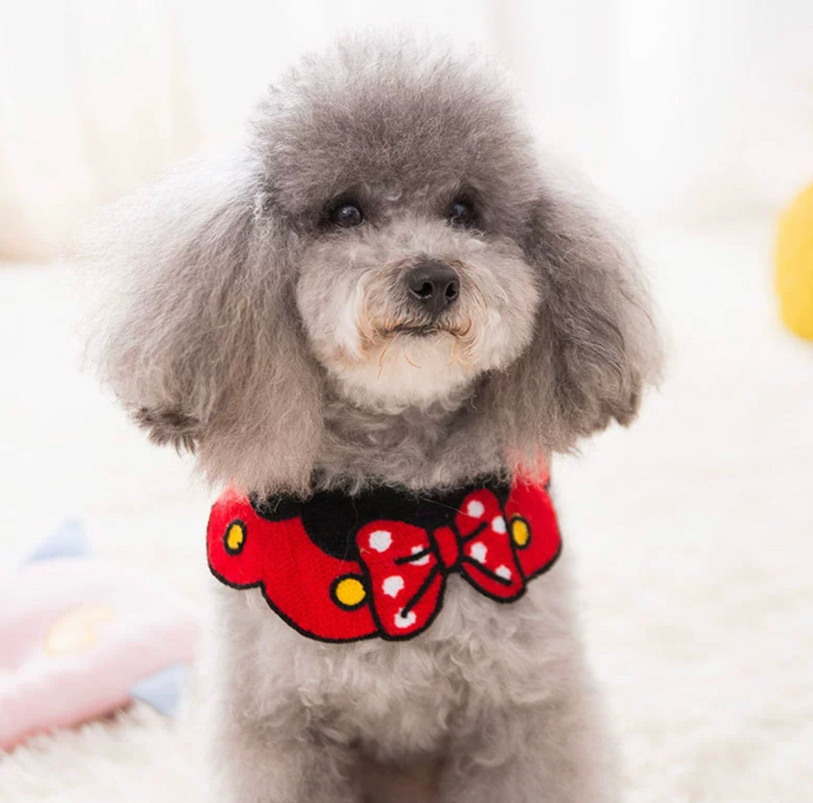 Minnie Cartoon Adjustable Accessory Collar for Cats and Dogs - Lil Wild Pets