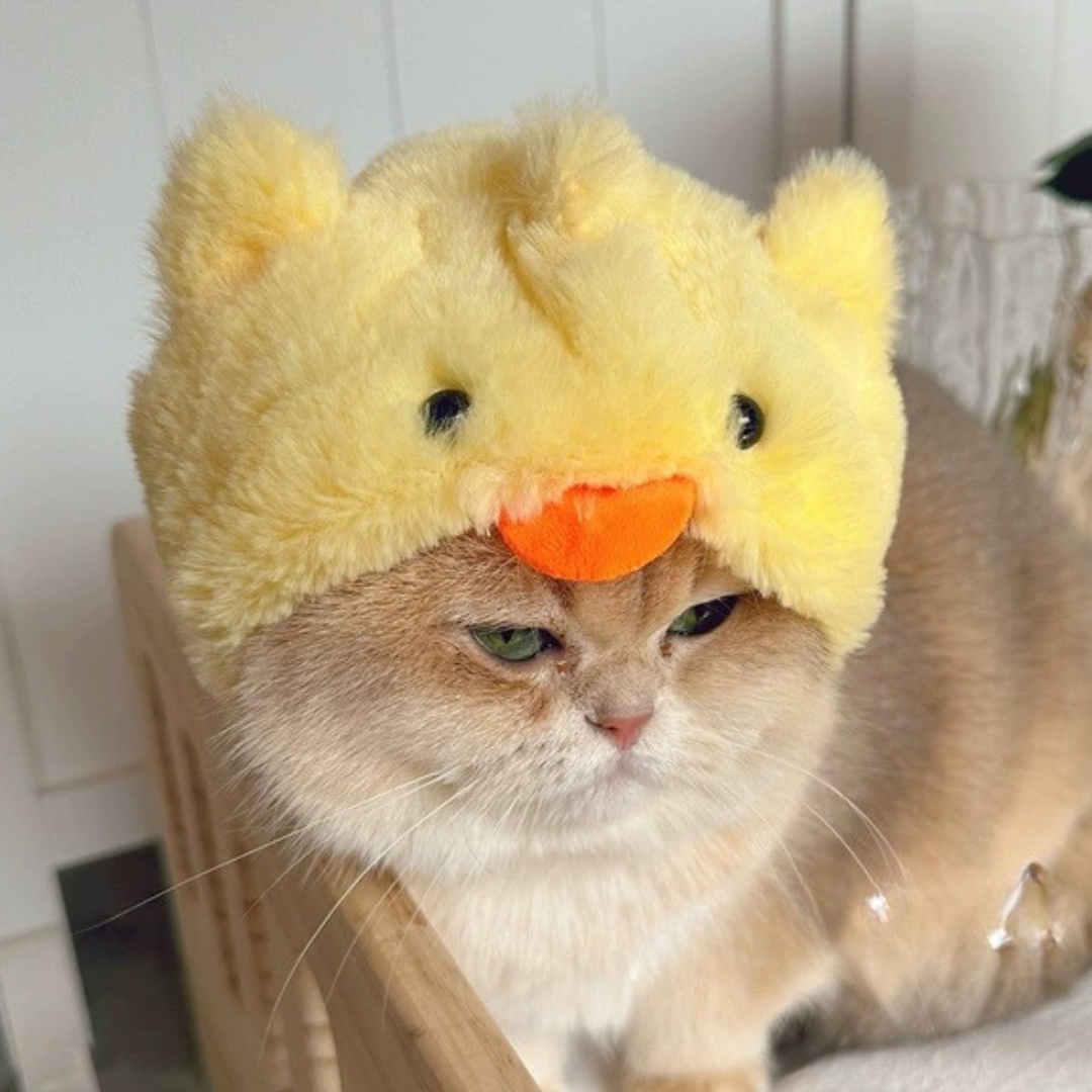 Pet Adjustable Hat for Cats and Dogs - Chick
