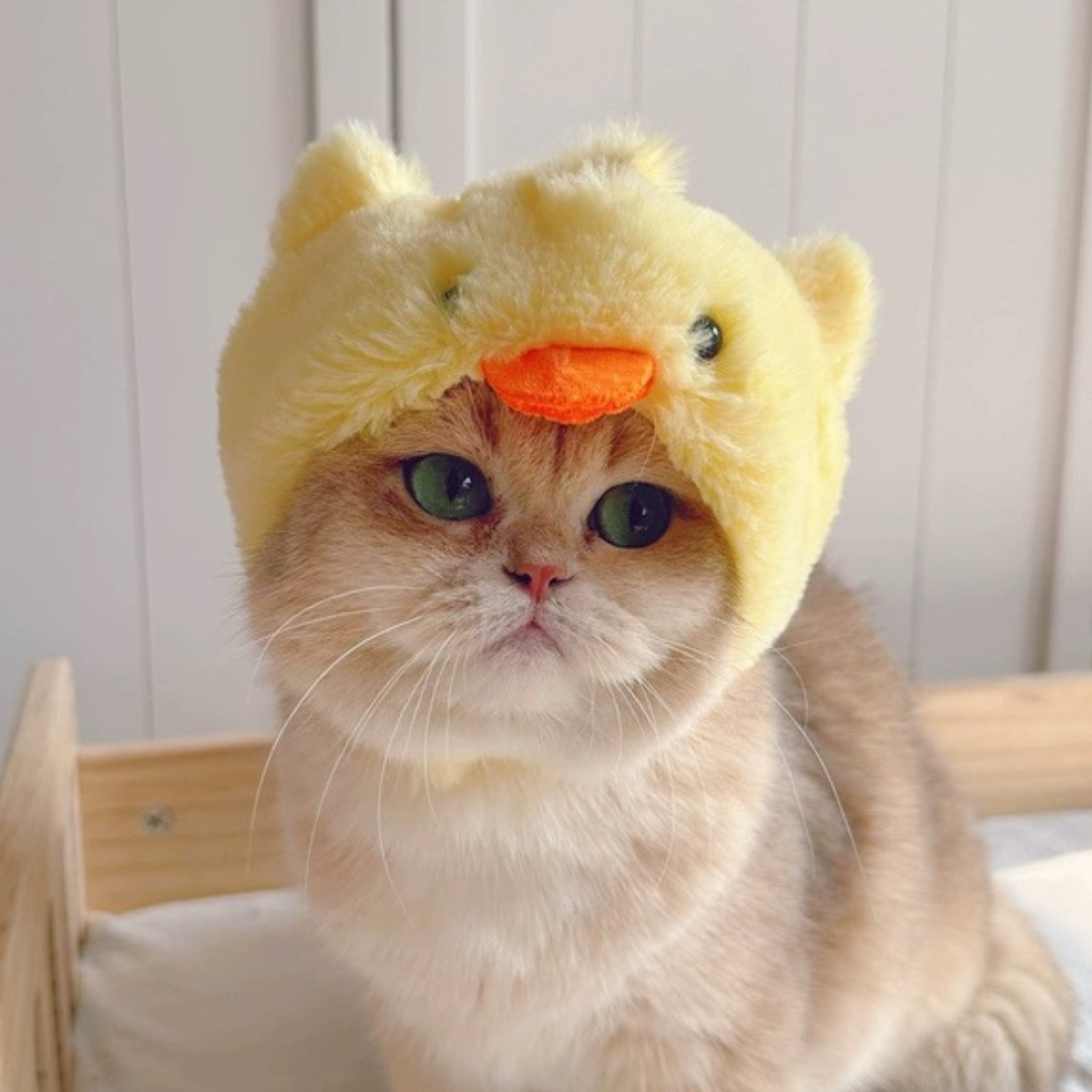 Pet Adjustable Hat for Cats and Dogs - Chick