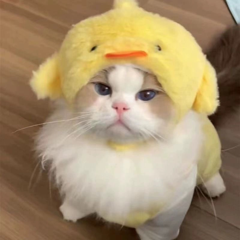 Pet Adjustable Hat for Cats and Dogs - Chick