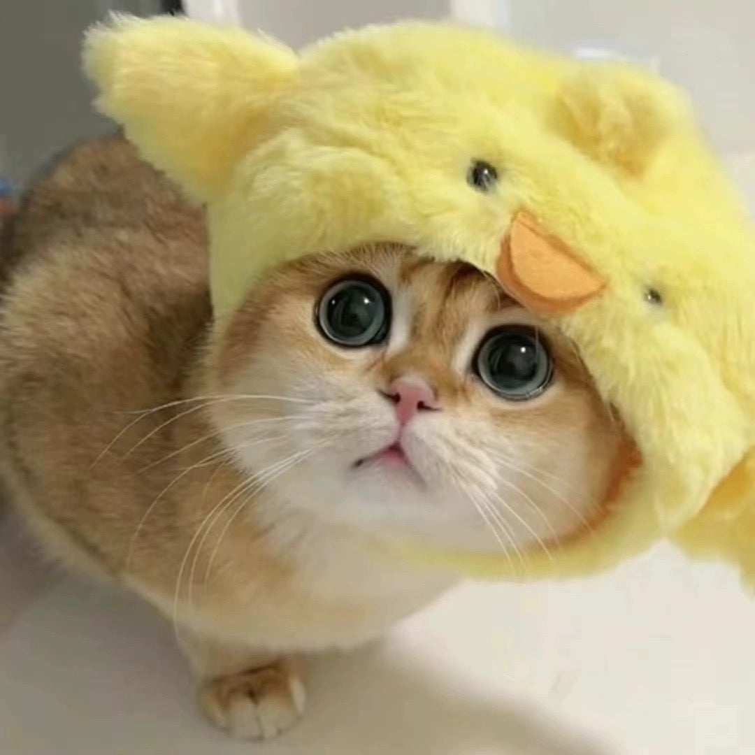Pet Adjustable Hat for Cats and Dogs - Chick