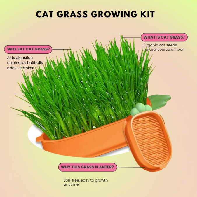 hydroponic cat grass planter instructions Organic Cat Grass Growing Kit with Carrot Soilless Hydroponic Planter