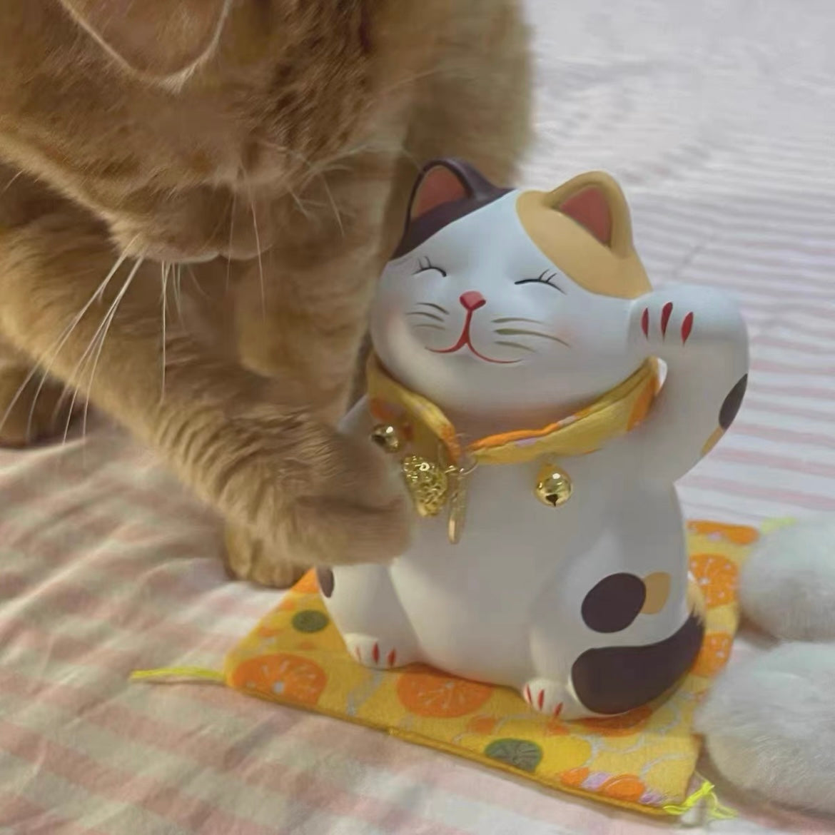 Ceramic Maneki Neko Lucky Cat - 5.5in - Lil Wild Pets