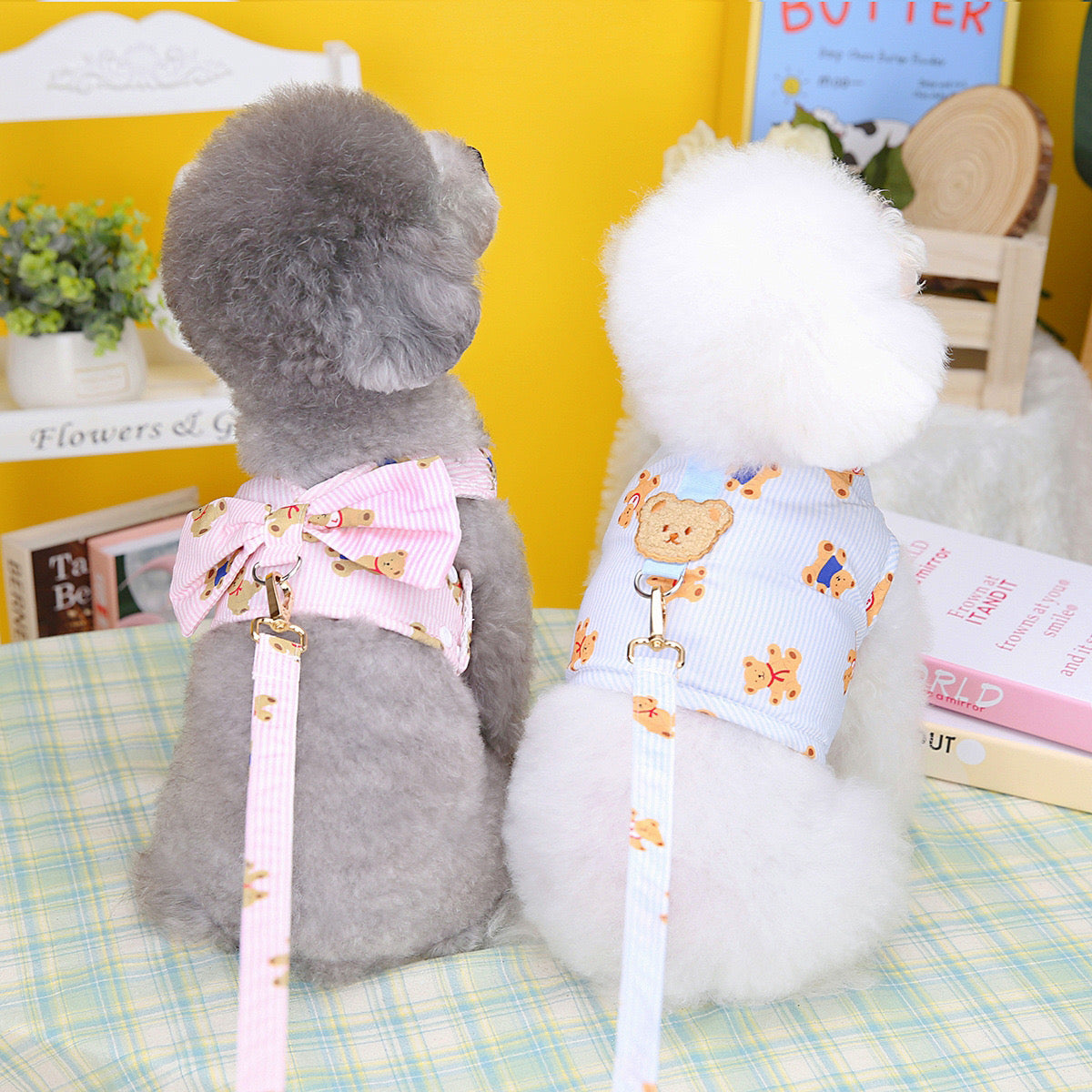 Cute Bear Pet Harness And Leash Walk Kit For Dog & Cat - Blue - Lil Wild Pets