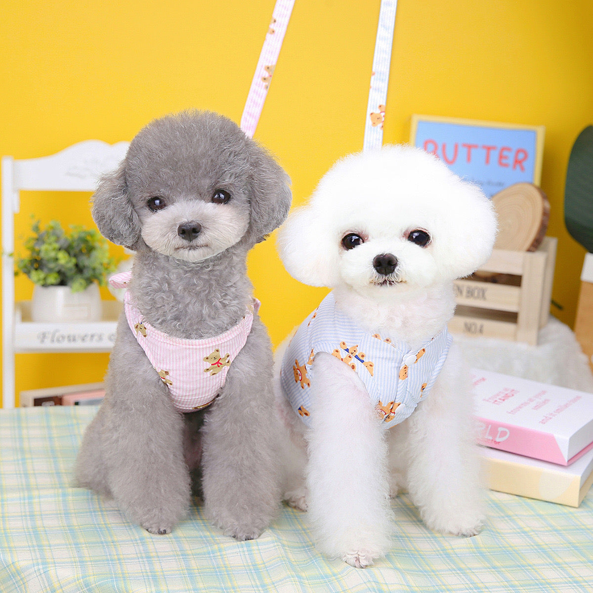 Cute Bear Pet Harness And Leash Walk Kit For Dog & Cat - Pink