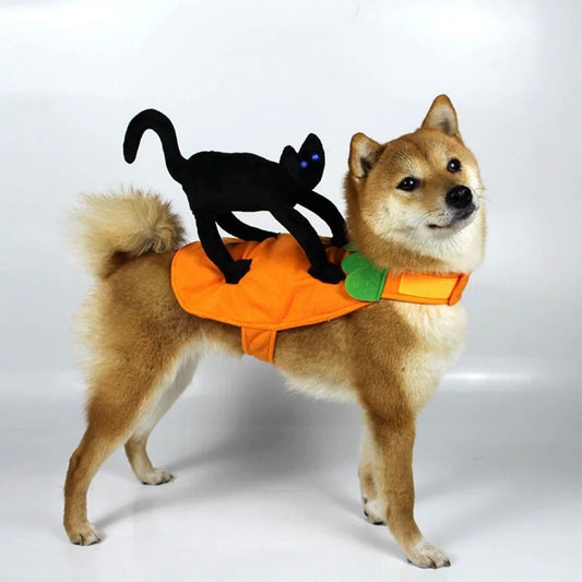 Halloween Cat Pumpkin Ride Pet Cosplay Costume for Cats and Dogs - Lil Wild Pets