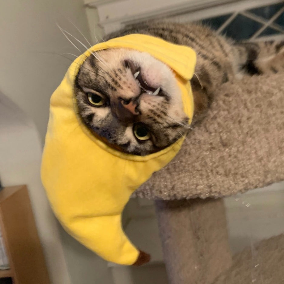 Pet Adjustable Hat for Cats and Dogs - Banana - Lil Wild Pets