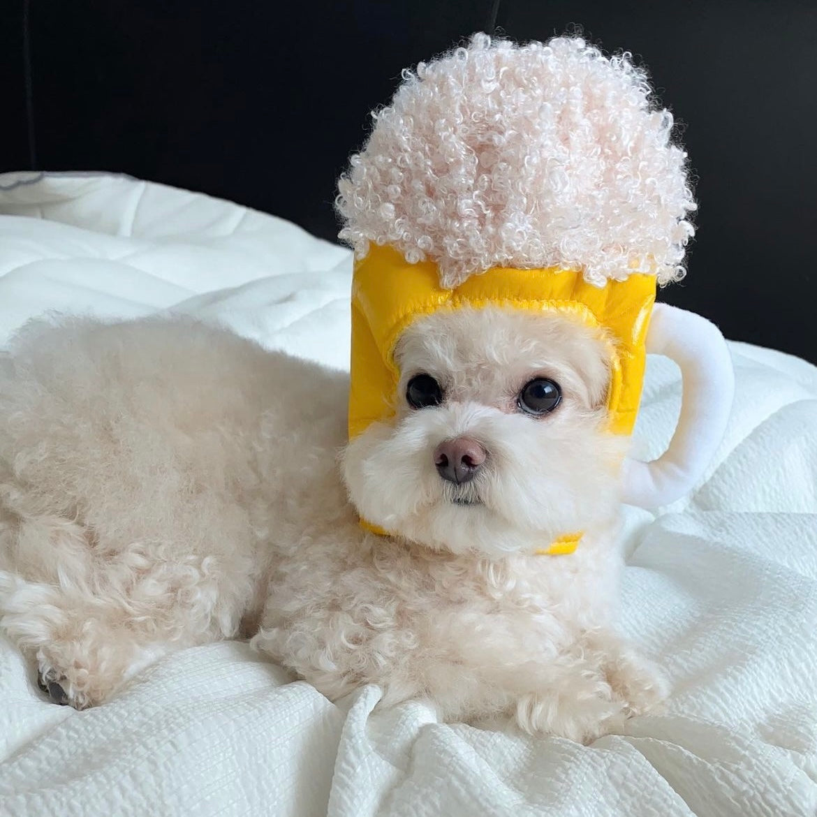 Pet Adjustable Hat for Cats and Dogs - Beer