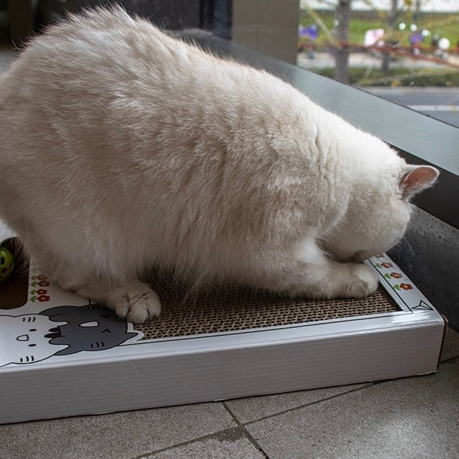 Instagram Cat Interactive Toy with Scratching Pad - Lil Wild Pets