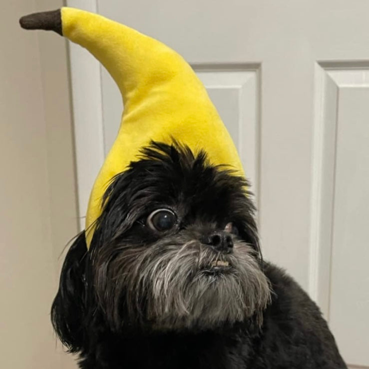 Pet Adjustable Hat for Cats and Dogs - Banana - Lil Wild Pets