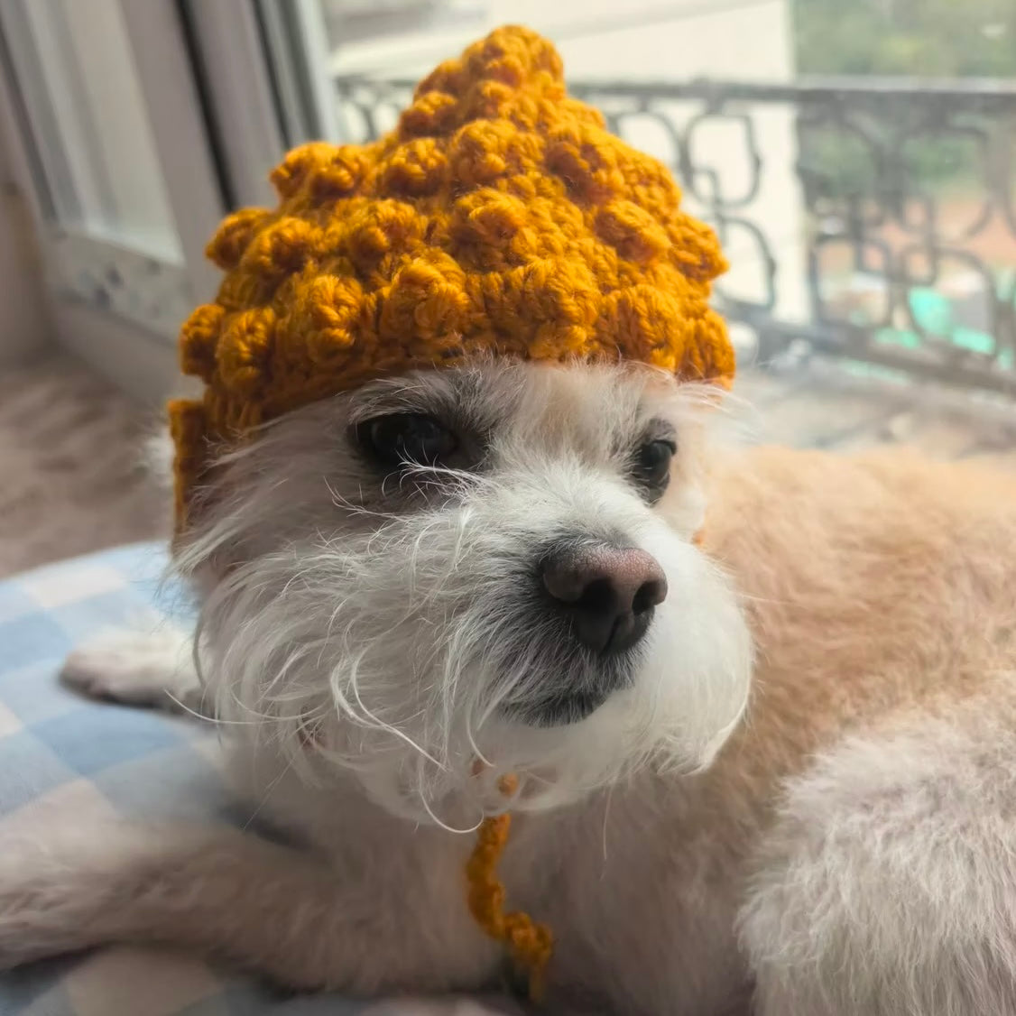 Halloween Handmade Knit Budda Hat for Cats and Dogs