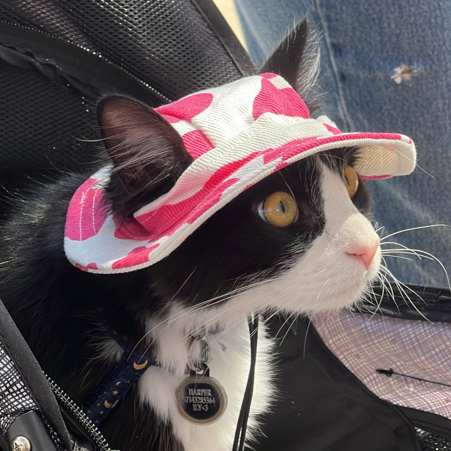 Pet Adjustable Outdoor Sun Hat with Ear Holes for Cats and Dogs - Lil Wild Pets