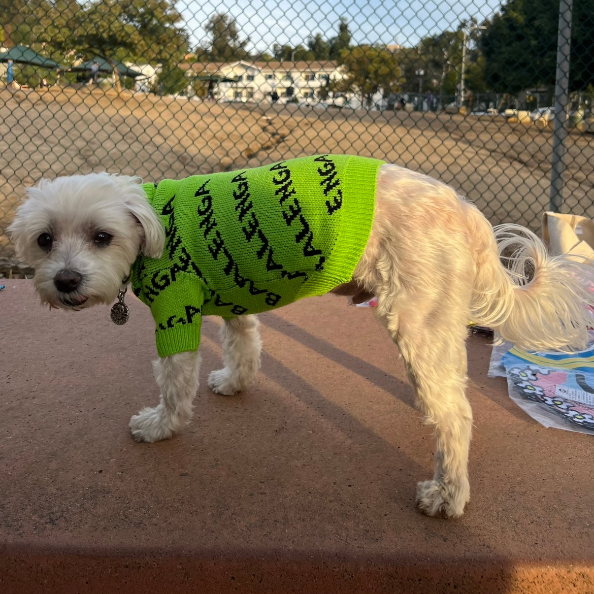 Fashion Icon Neon Green Sweater for Cats and Dogs - Lil Wild Pets