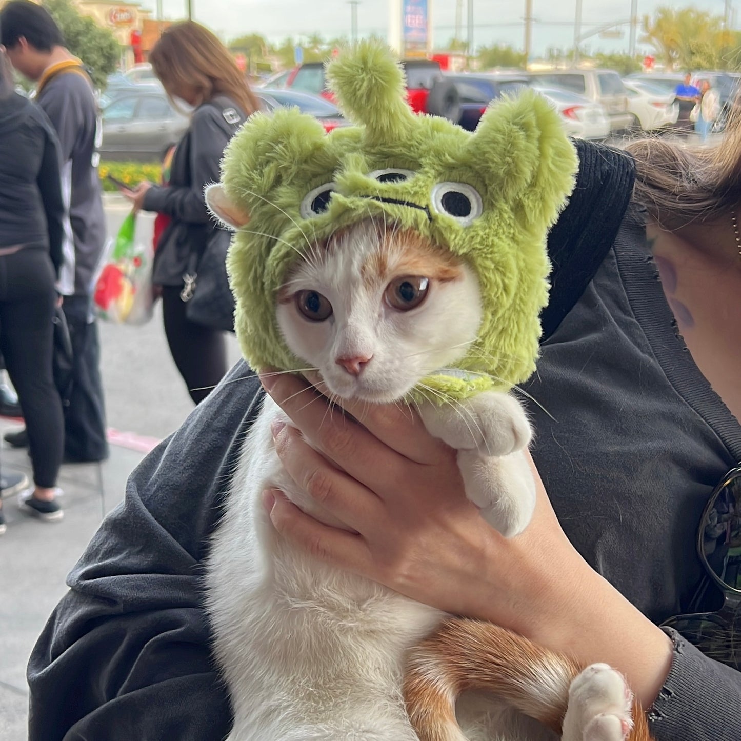 Toy Story Aliens Adjustable Pet Hat with Ear Holes for Cats and Dogs - Lil Wild Pets