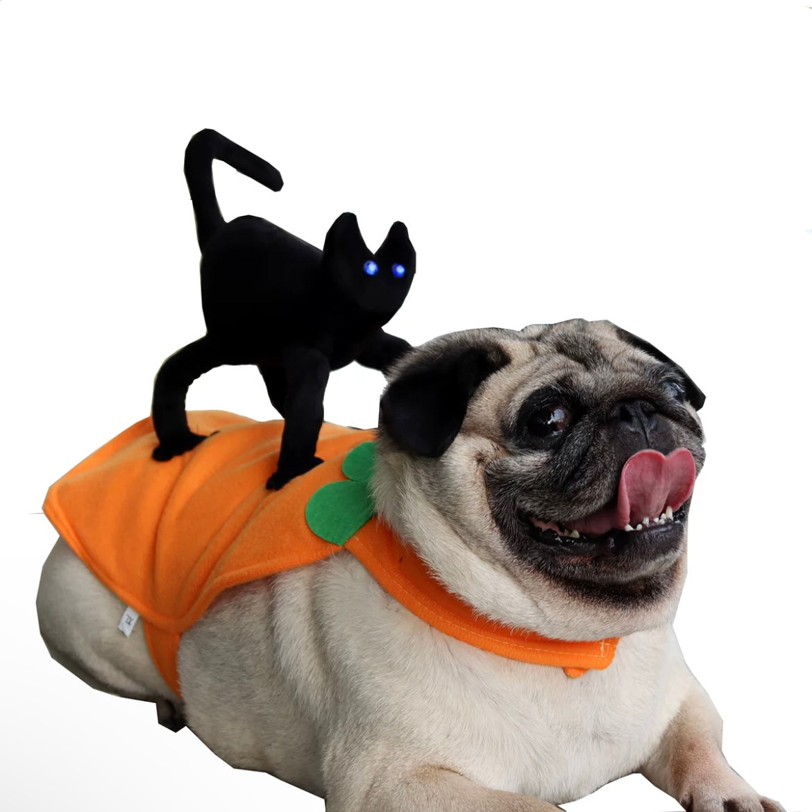 Halloween Cat Pumpkin Ride Pet Cosplay Costume for Cats and Dogs - Lil Wild Pets